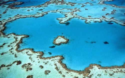Allow a whole day to explore the Great Barrier Reef.