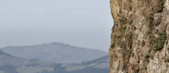 Tui Campers: MHR 2025 AU & NZ Sale