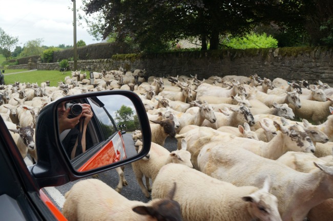 Beschreibung: DSC04414.JPG