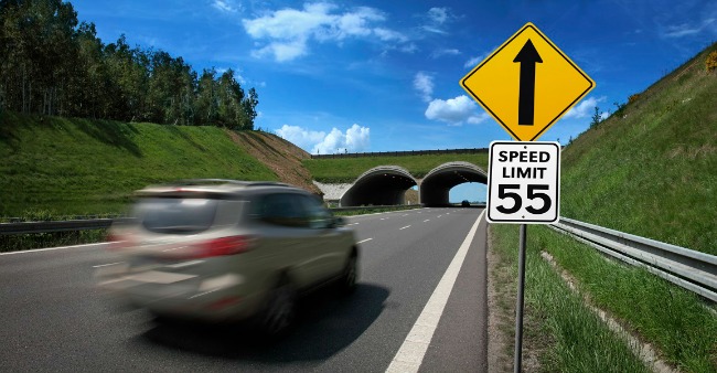Take note of all the USA speed limit sign for your safe travel.