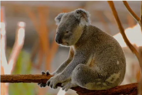 Brisbane Landing page