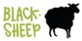 Blacksheep Campervan Rental